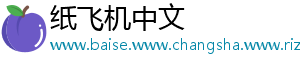 纸飞机中文